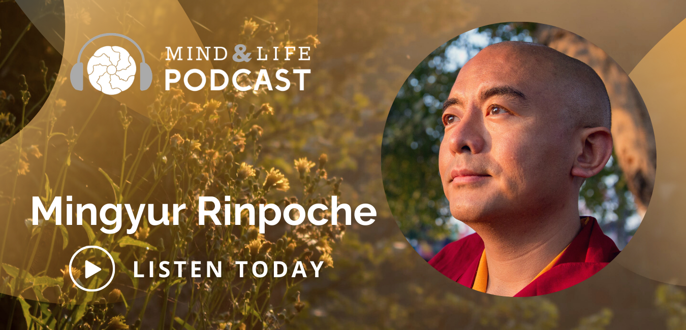 Mingyur Rinpoche - Awareness, Compassion, And Wisdom - Mind & Life Podcast